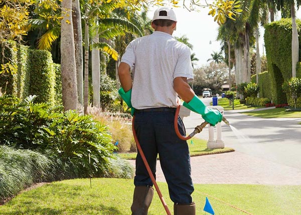 About Converse TX Pest Control Pros